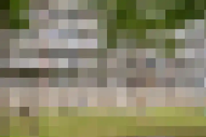 Heemraadweg 125 Weesp thumbnail 12