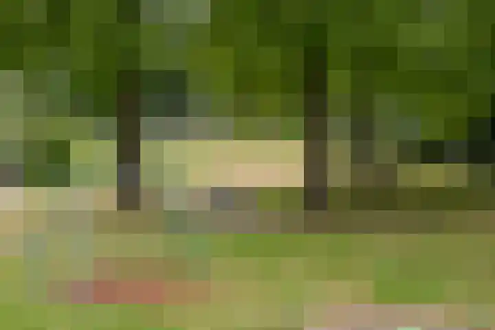 Heemraadweg 125 Weesp thumbnail 6