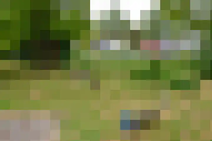 Heemraadweg 125 Weesp thumbnail 7