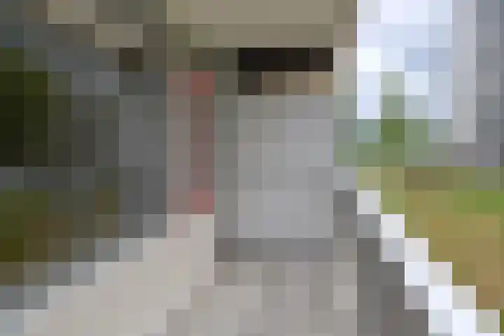 Heemraadweg 125 Weesp thumbnail 9