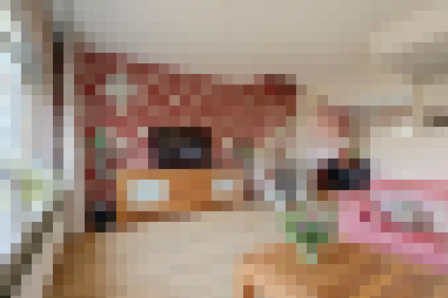 Heemraadweg 20 Waddinxveen thumbnail 14