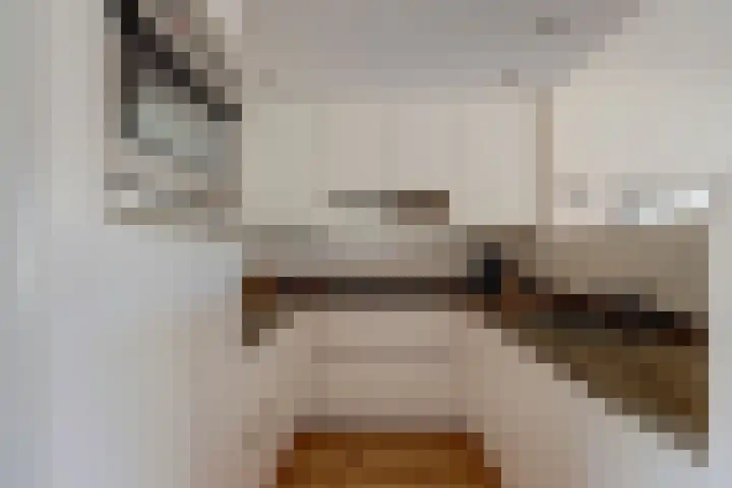 Heemraadweg 20 Waddinxveen thumbnail 18