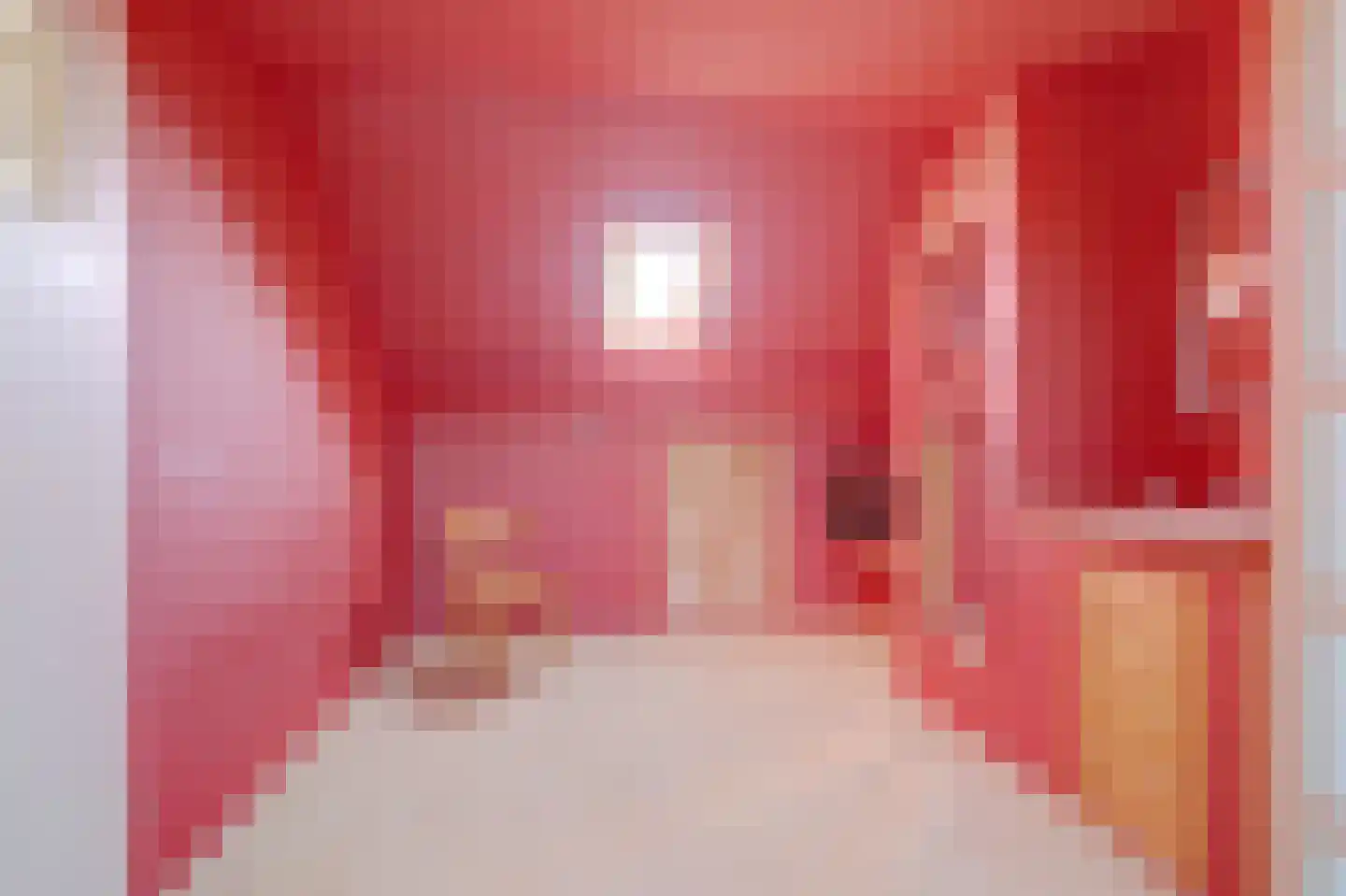 Heemraadweg 20 Waddinxveen thumbnail 28