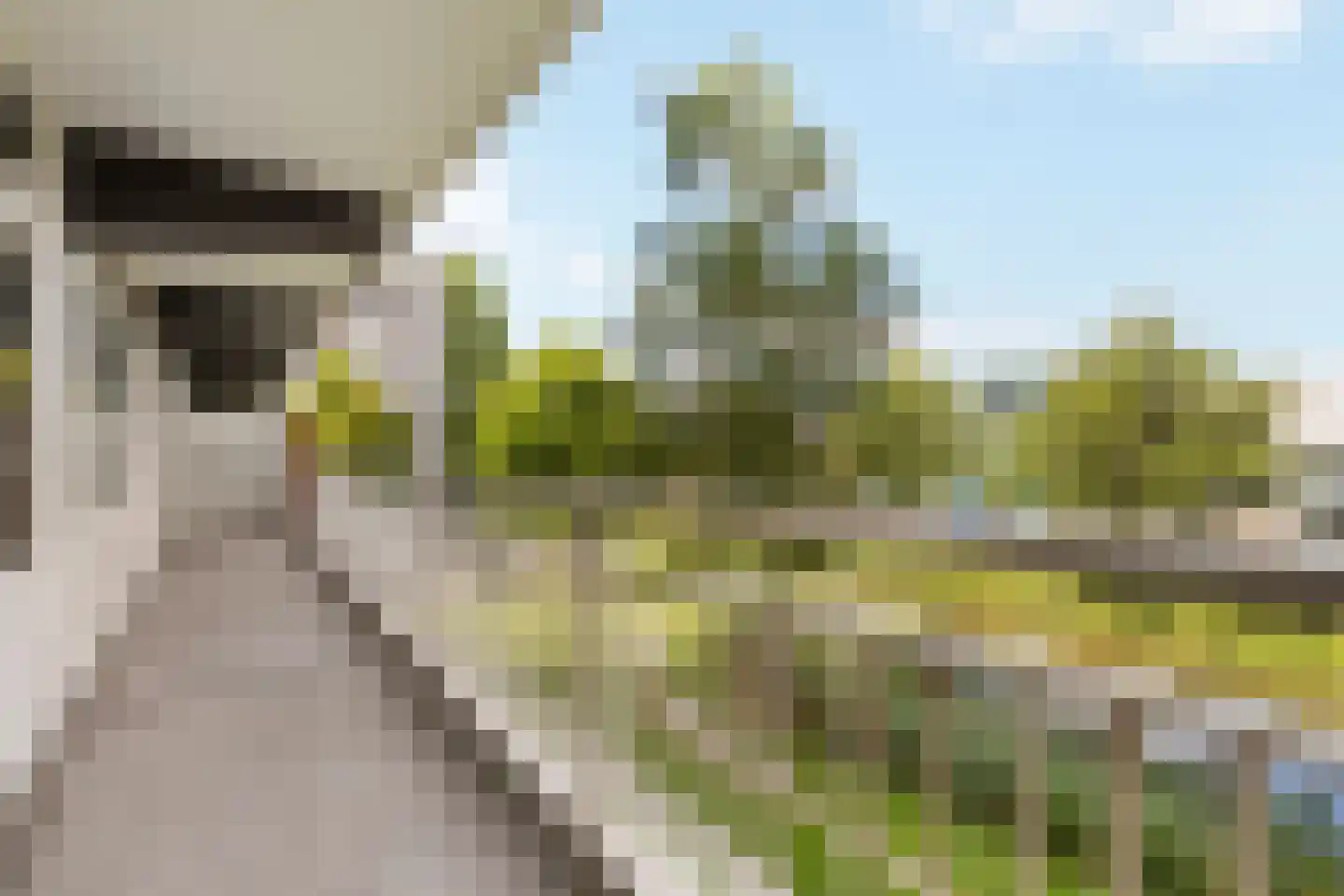 Heemraadweg 232 Weesp thumbnail 19