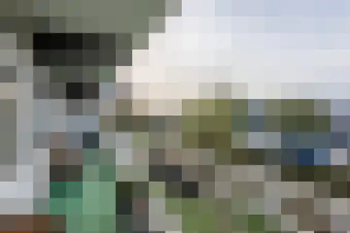 Heemraadweg 236 Weesp thumbnail 24