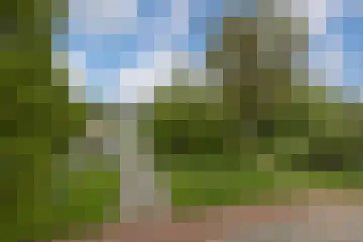 Heemraadweg 237 Weesp thumbnail 27