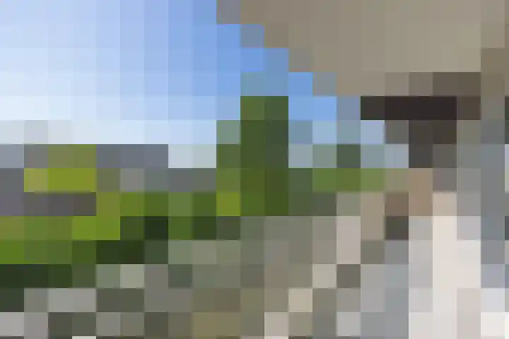Heemraadweg 301 Weesp thumbnail 21