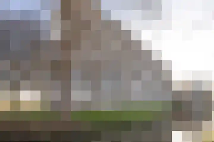 Heemraadweg 338 Weesp thumbnail 30