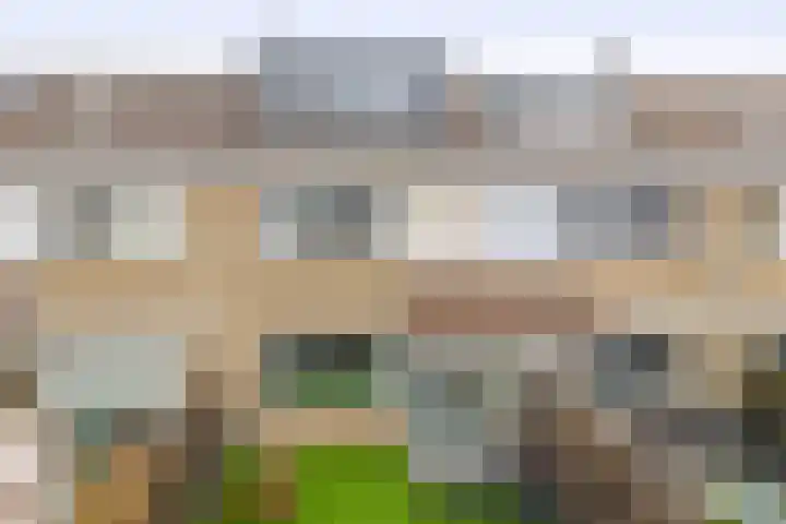Heemraadweg 36 Waddinxveen thumbnail 28