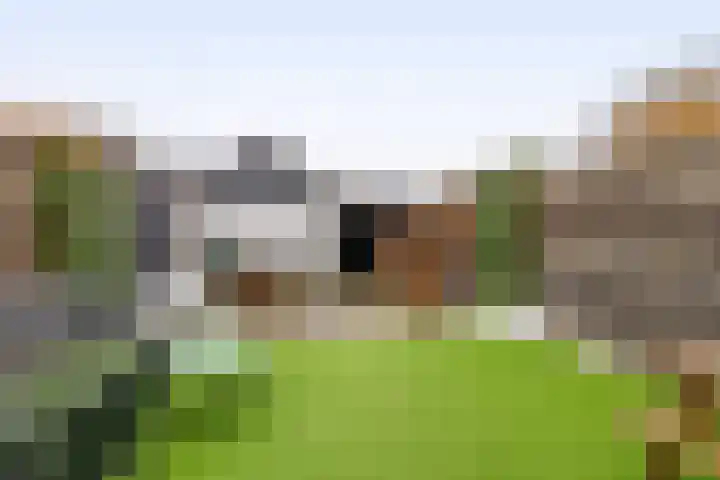 Heemraadweg 36 Waddinxveen thumbnail 30