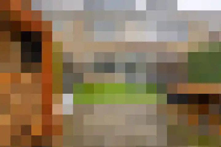 Heemraadweg 36 Waddinxveen thumbnail 32