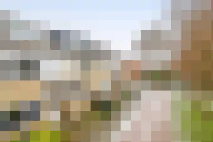 Heemraadweg 36 Waddinxveen thumbnail 34