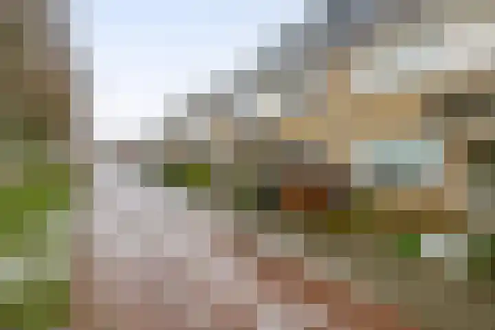 Heemraadweg 36 Waddinxveen thumbnail 35