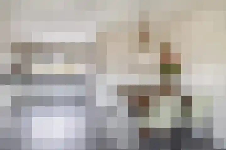 Heemraadweg 36 Waddinxveen thumbnail 8