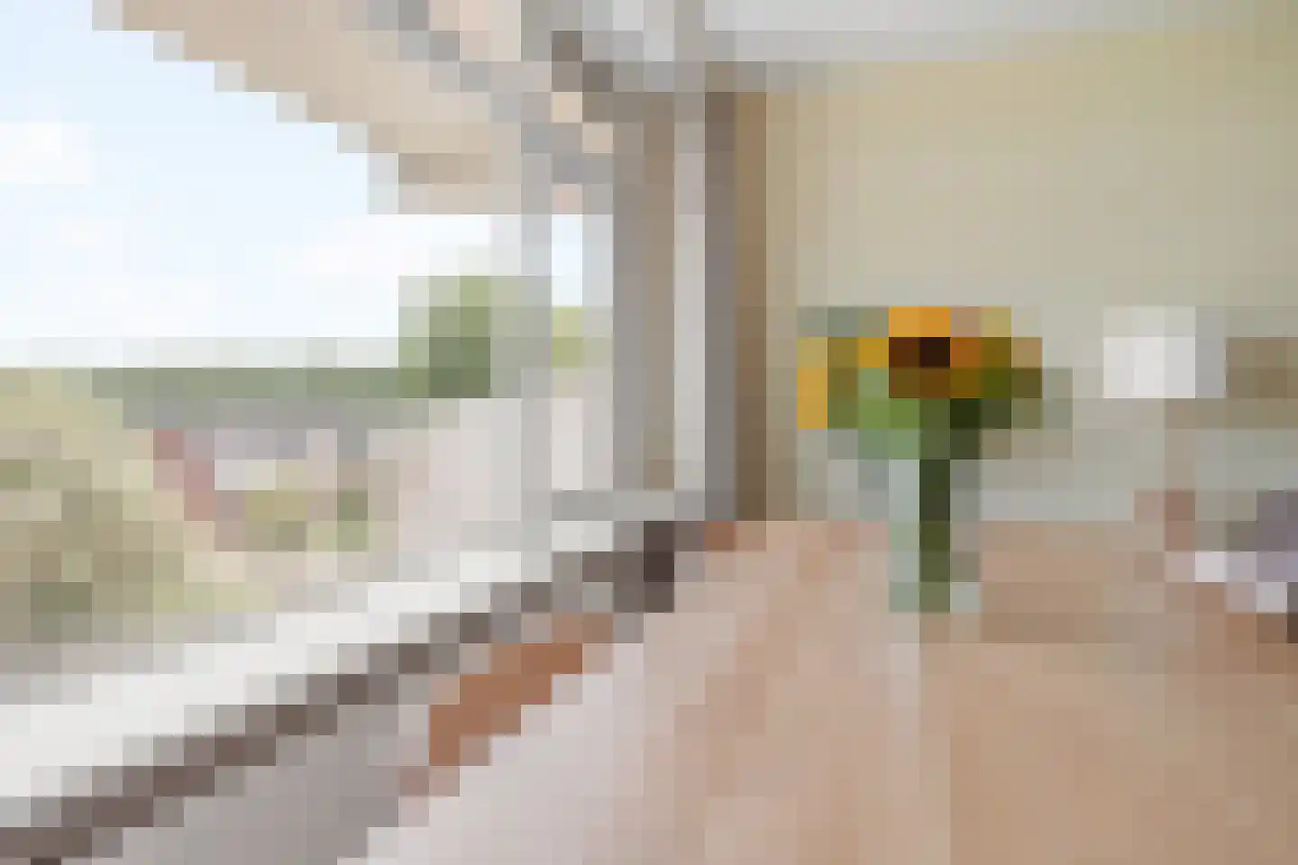 Heemraadweg 418 Weesp foto 3