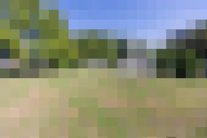 Heemraadweg 807 Weesp thumbnail 27