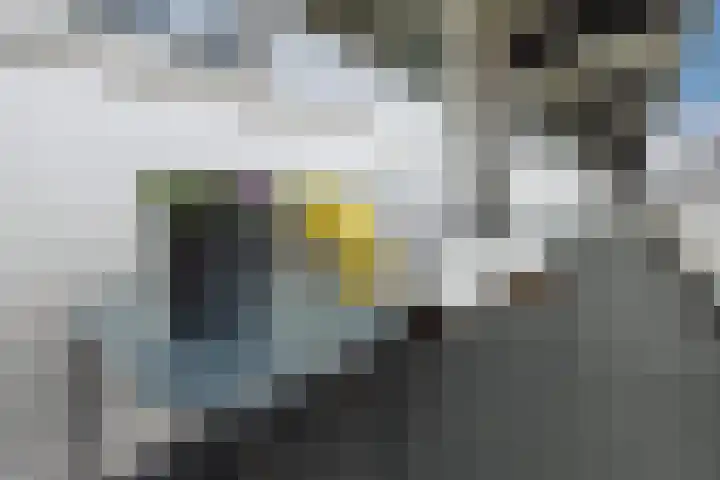 Heemraadweg 811 Weesp thumbnail 26
