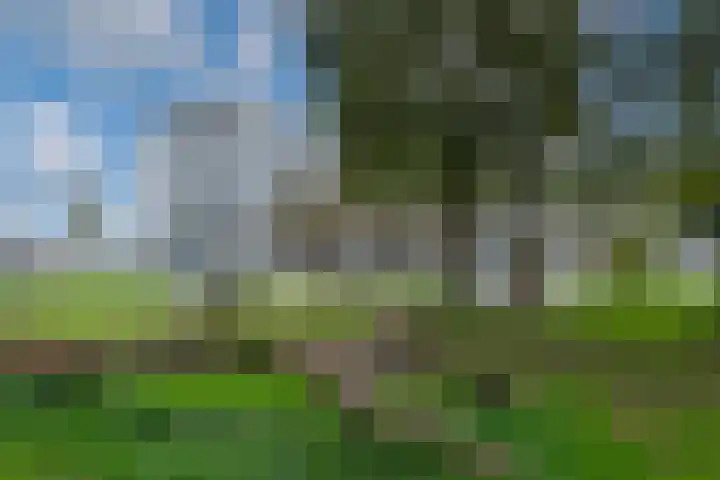 Heemraadweg 811 Weesp thumbnail 4