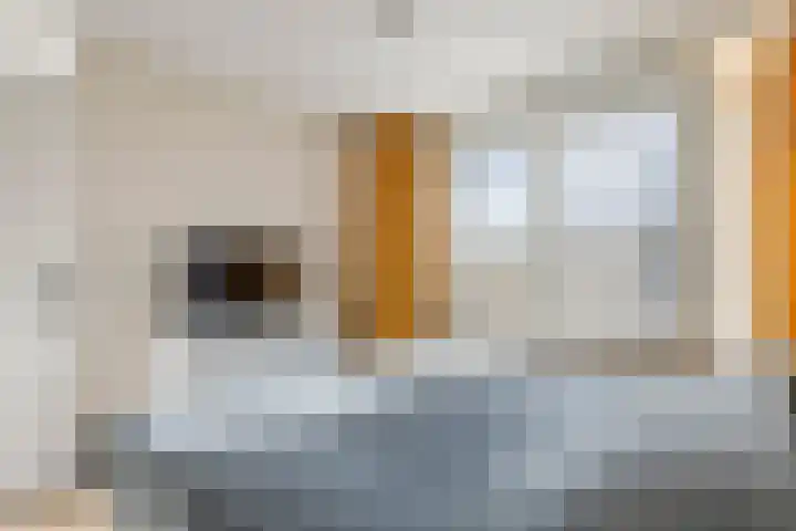 Heemradenstraat 144 Druten thumbnail 18