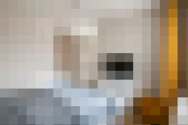 Heemradenstraat 144 Druten thumbnail 20