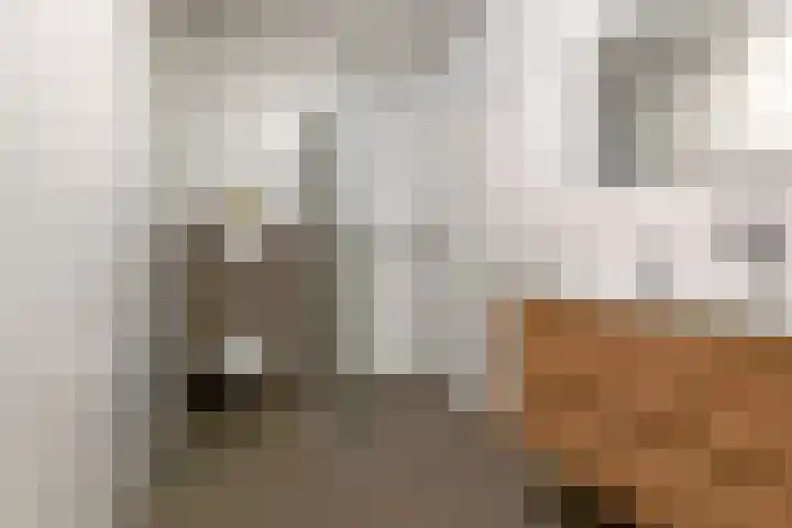 Heemradenstraat 144 Druten thumbnail 22