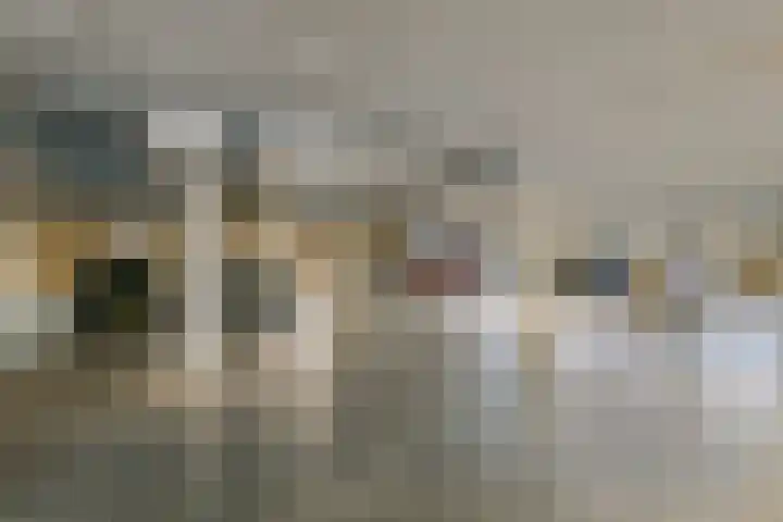 Heemradenstraat 144 Druten thumbnail 31