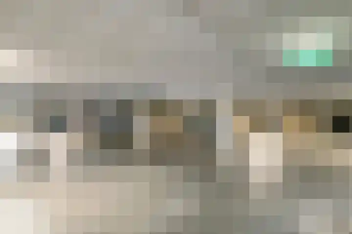 Heemradenstraat 144 Druten thumbnail 32