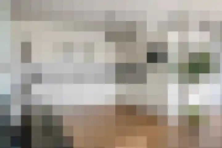 Heemradenstraat 144 Druten thumbnail 5
