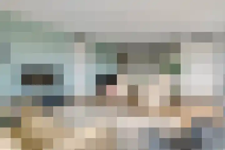 Heemradenstraat 144 Druten thumbnail 6