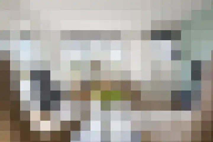 Heemradenstraat 144 Druten thumbnail 8