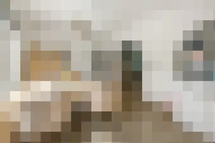 Heemradenstraat 22 Druten thumbnail 10