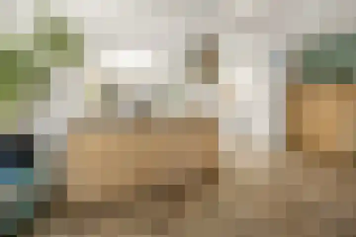 Heemradenstraat 22 Druten thumbnail 11