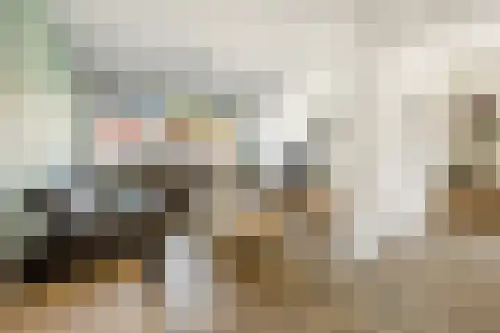 Heemradenstraat 22 Druten thumbnail 12