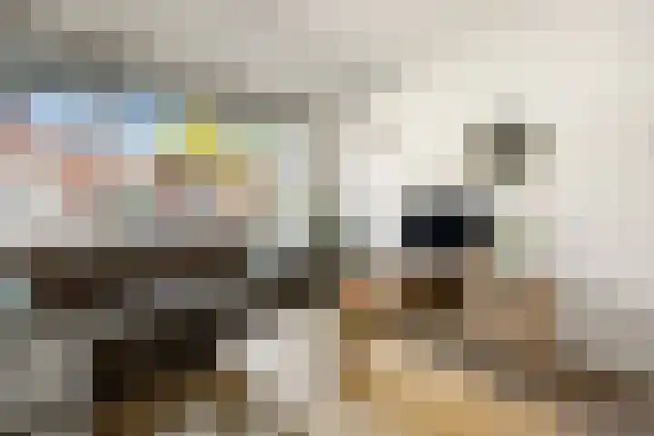 Heemradenstraat 22 Druten thumbnail 13