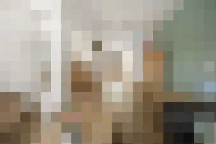 Heemradenstraat 22 Druten thumbnail 14
