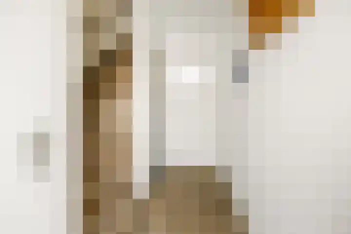 Heemradenstraat 22 Druten thumbnail 15