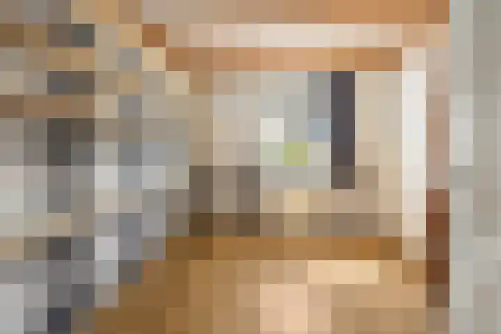 Heemradenstraat 22 Druten thumbnail 25
