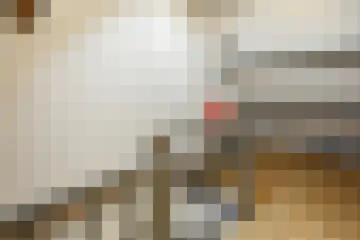 Heemradenstraat 22 Druten thumbnail 27