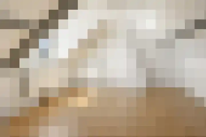 Heemradenstraat 22 Druten thumbnail 29