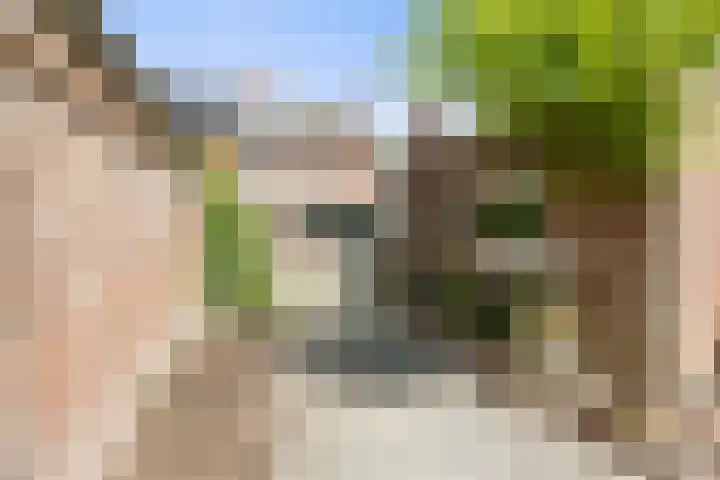 Heemradenstraat 22 Druten thumbnail 34