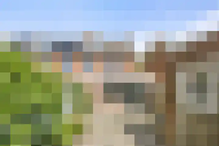 Heemradenstraat 22 Druten thumbnail 37
