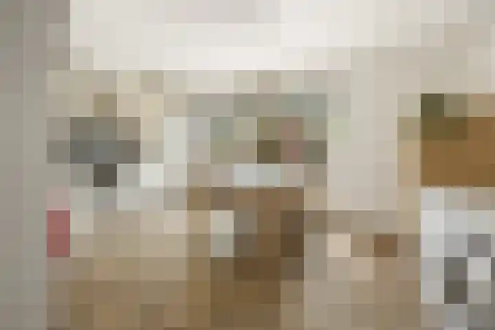 Heemradenstraat 22 Druten thumbnail 6