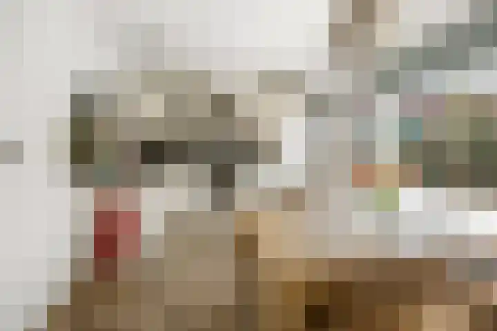 Heemradenstraat 22 Druten thumbnail 7
