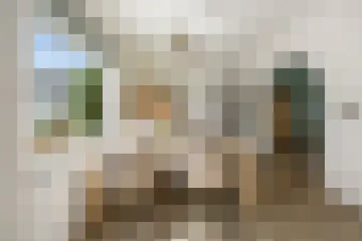 Heemradenstraat 22 Druten thumbnail 8