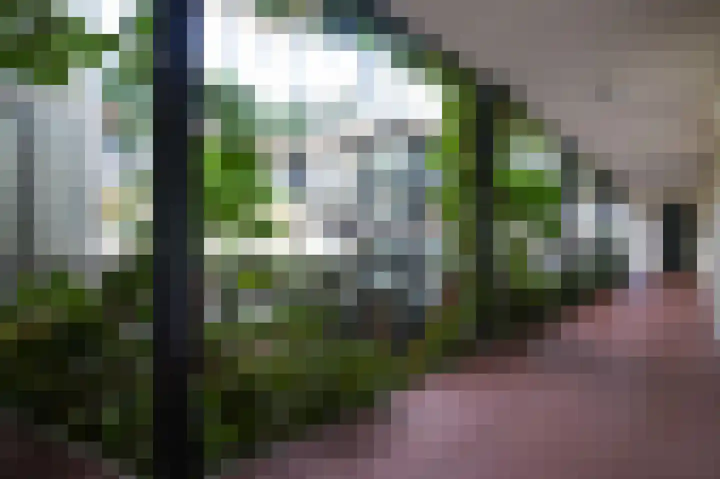 Heemradenstraat 92 Druten thumbnail 20