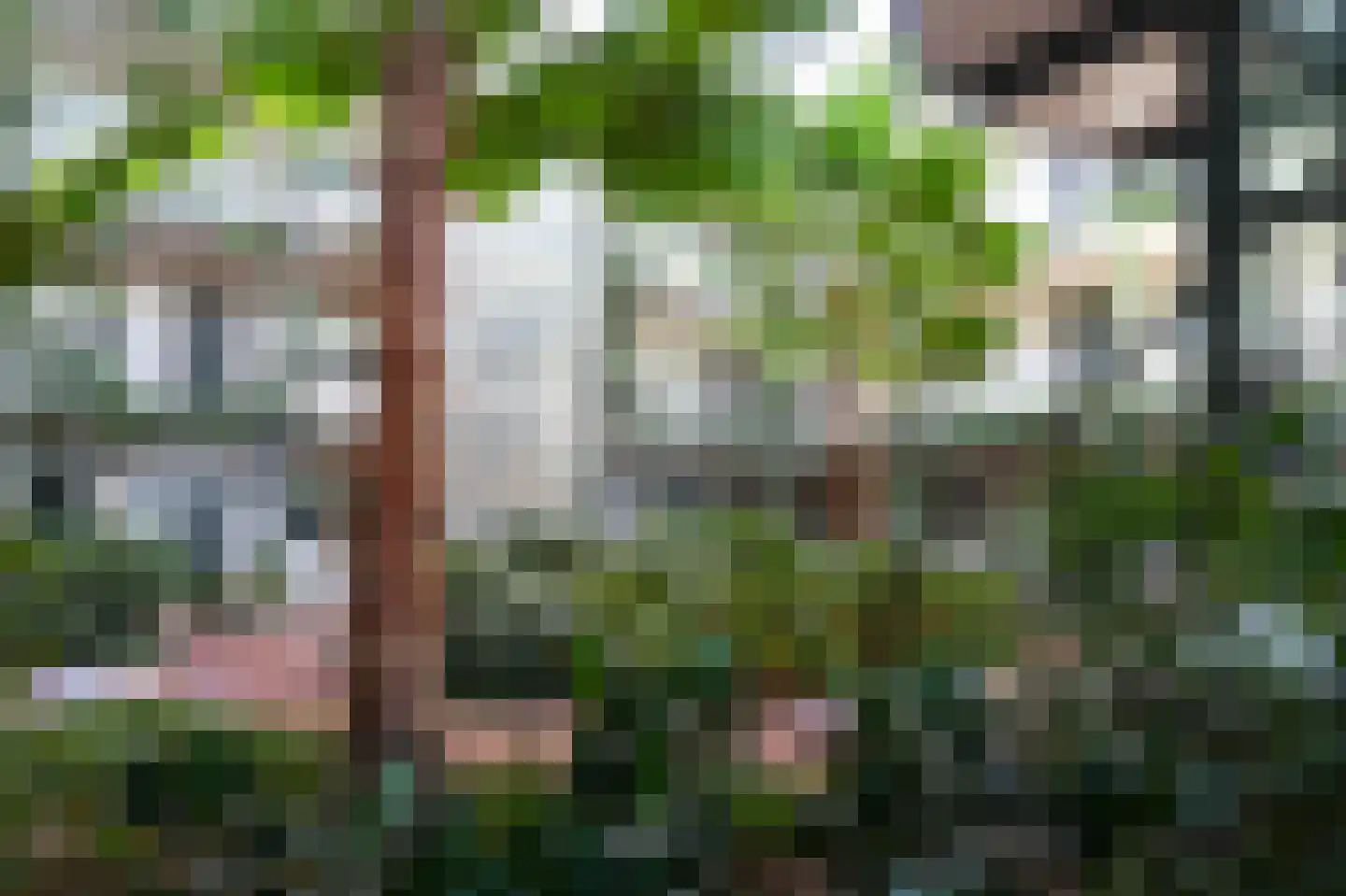 Heemradenstraat 92 Druten thumbnail 22