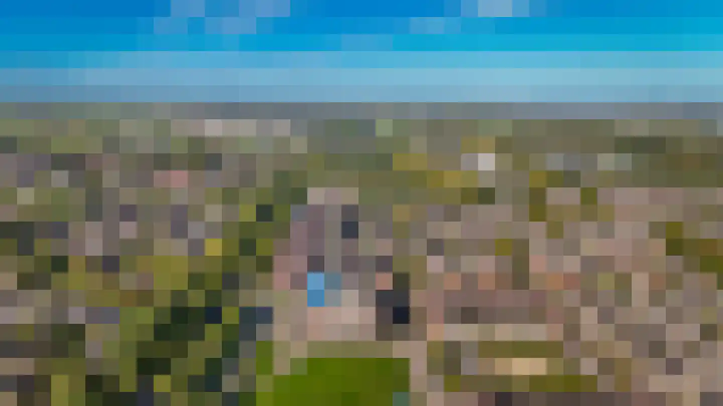 Heemradenstraat 92 Druten thumbnail 33