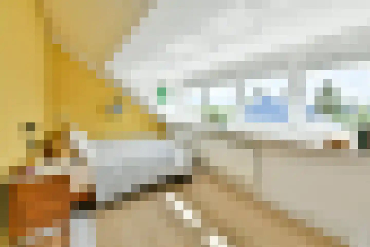 Heems Weer 16 Broek in Waterland thumbnail 33