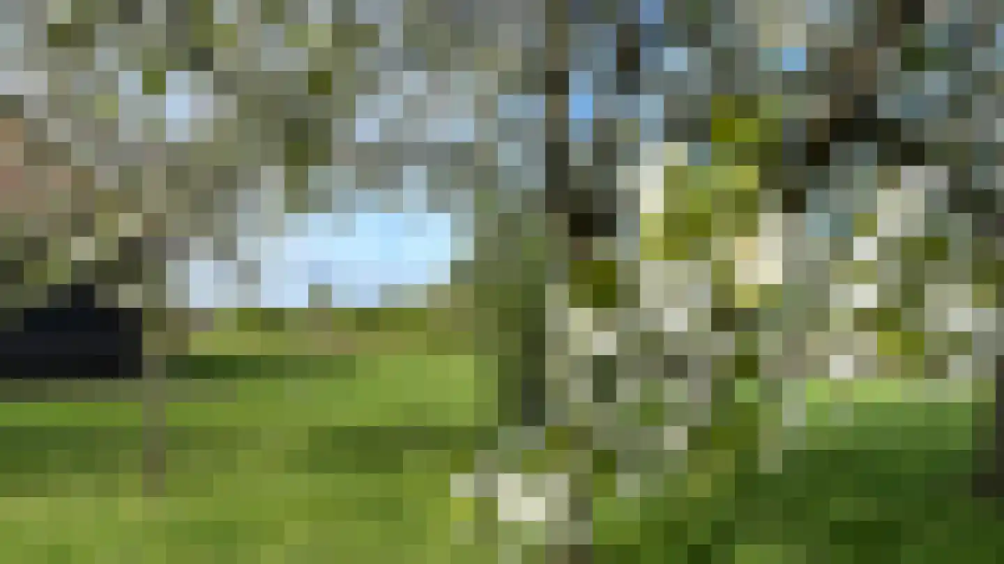 Heemserveldweg 1 b Heemserveen thumbnail 10