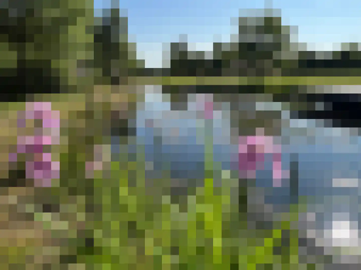Heemserveldweg 1 b Heemserveen thumbnail 4